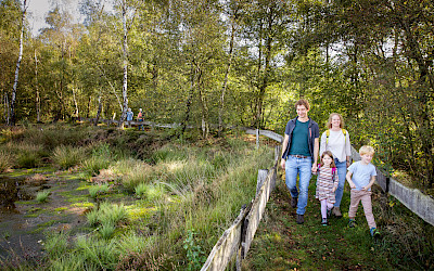 Emsdetten Venn excursion destination