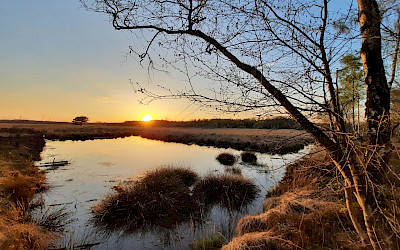 Emsdetten Venn excursion destination