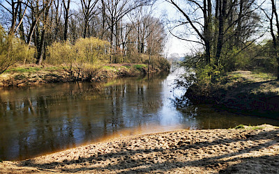 Emsauen Emsdetten