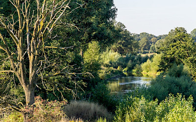 Dorf- und Naturidylle in Hembergen