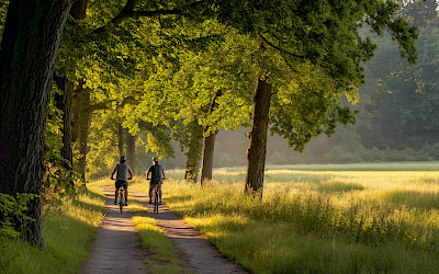 Fahrradfahrer im Grünen