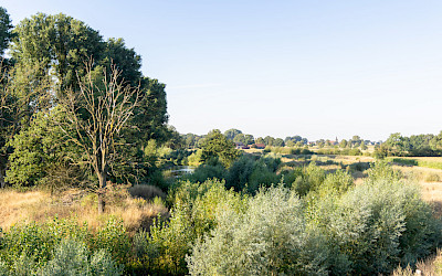 Die Dorf-und Ems-Altarm-Runde