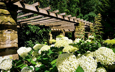 Stadtpark Emsdetten