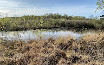Moorlandschaft Emsdettener Venn