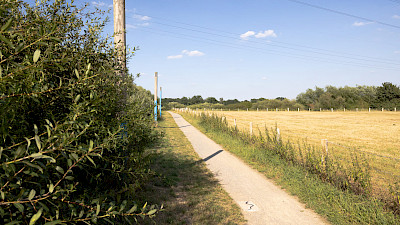 Emsauen Emsdetten