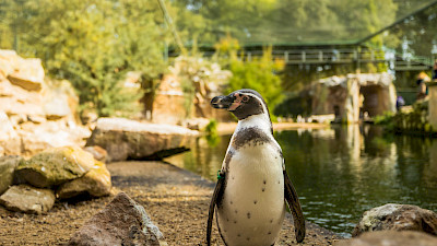 Naturzoo Rheine