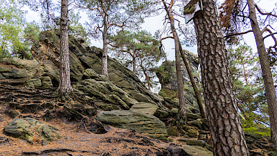 Dörenther Klippen im Teutoburger Wald