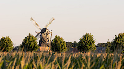 Sinninger Mühle in Saerbeck