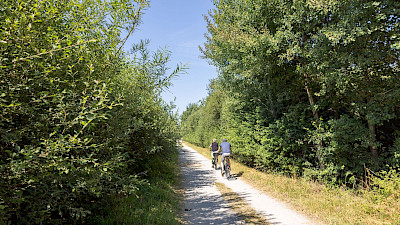 Radfahren im Emsdettener Venn