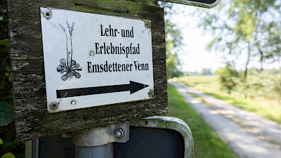 A nature trail leads through the Emsdetten Venn