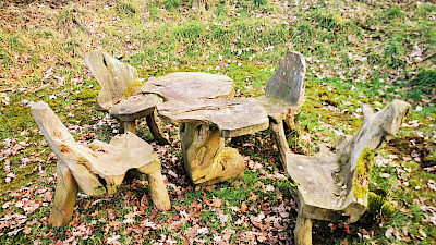 Das Zauberwäldchen in Ahlintel
