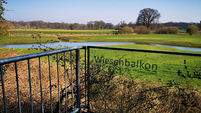 Weidebalkon in de uiterwaarden van de Eems