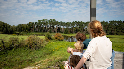 Blick vom Heinz-Rinsche-Turm in die Emsauen