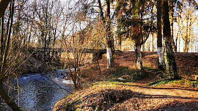 Markierte Bäume am ehemaligen Max-Clemens-Kanal