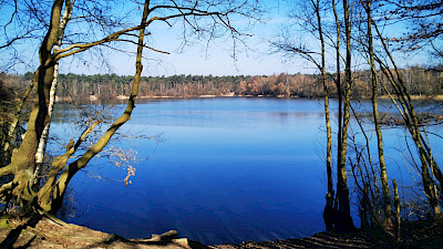 Der Reuter-See