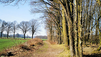 Ländliche Idylle