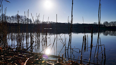 Der Reuter-See