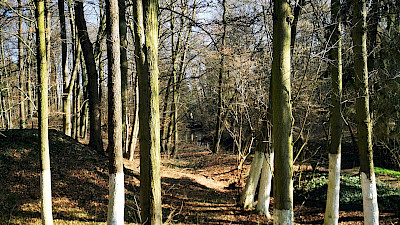 Der ehemalige Max-Clemens-Kanal