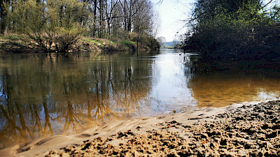 Sandbänke an der Ems