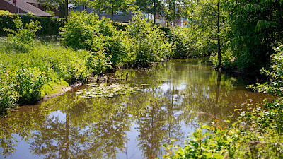 Der Mühlenbach am Kulturhof Deitmar