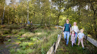 Moorwanderung im Emsdettener Venn