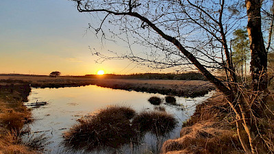 Sonnenuntergang im Emsdettener Venn