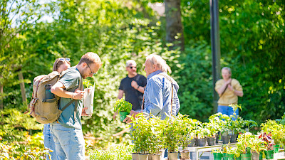 Kulturhof Markt Emsdetten