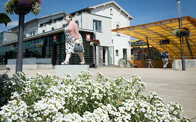 Emsdetten Innenstadt