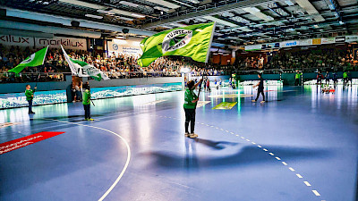TVE Handball Spiel in der EMS-HALLE