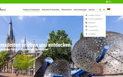 Website emsdettenleben.de